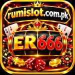 ER666 GAME